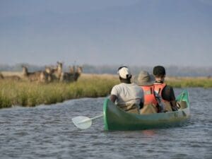 Go on an adventurous canoe safari down the magnificent Zambezi river.