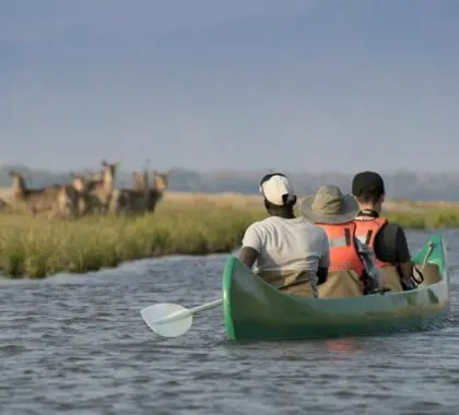 Embárquese en un aventurero safari en canoa por el magnífico río Zambeze.