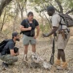Walking safari's with knowledgeable guides are on offer at Zambezi Expeditions.