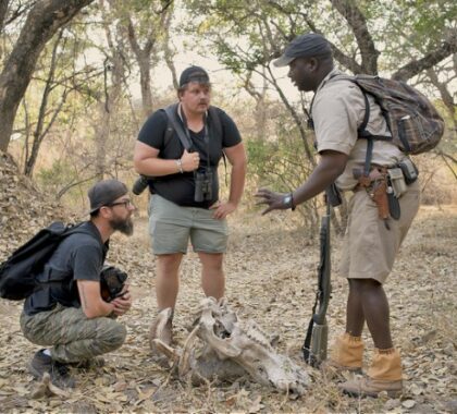 Walking safari's with knowledgeable guides are on offer at Zambezi Expeditions.