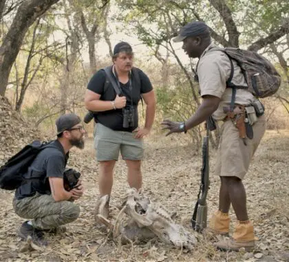 Zambezi Expeditions ofrece safaris a pie con guías expertos.
