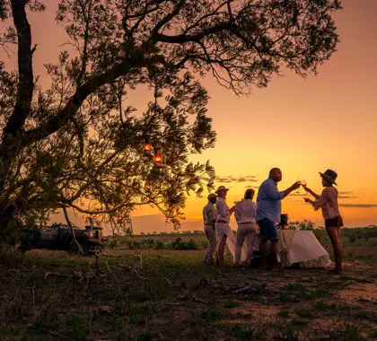 Puesta de sol en un safari.