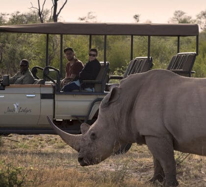 Conservación y comunidad: Hoteles y lodges sudafricanos solidarios