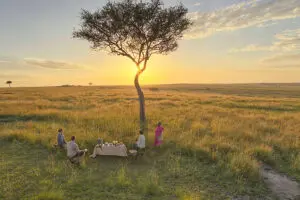 Enjoy a bush breakfast in the world-famous Masai Mara.