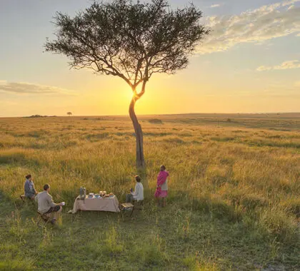 Disfrute de un desayuno en la sabana en el mundialmente famoso Masai Mara.