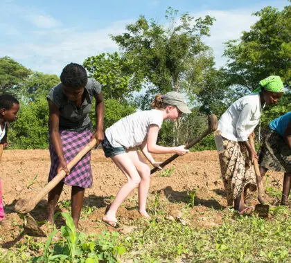 Campamentos y lodges de safari en Zimbabue que devuelven a la naturaleza