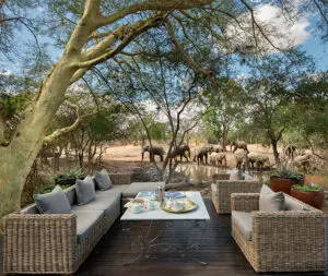 ngala-andbeyond-ngala-safari-lodge-guest-areas3