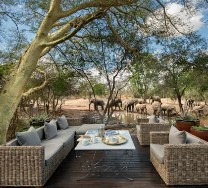 ngala-andbeyond-ngala-safari-lodge-guest-areas3