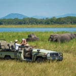 La zona ofrece paisajes asombrosos y alberga elefantes, búfalos y rinocerontes negros en peligro de extinción.