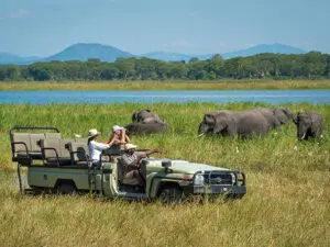 La zona ofrece paisajes asombrosos y alberga elefantes, búfalos y rinocerontes negros en peligro de extinción.