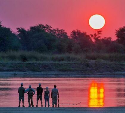 Marvel at phenomenal sunsets over the Luangwa River.