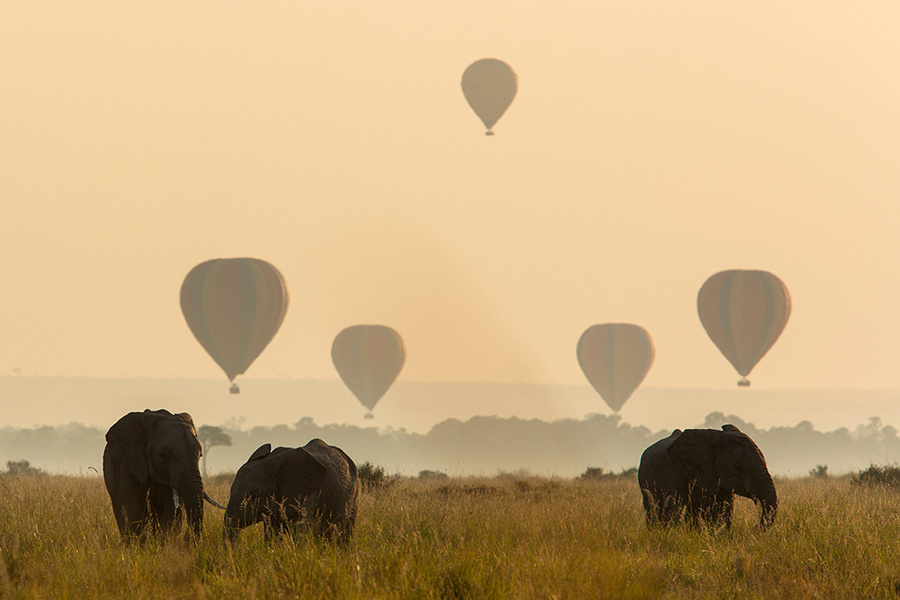 Balloon safaris at Angama Mara.