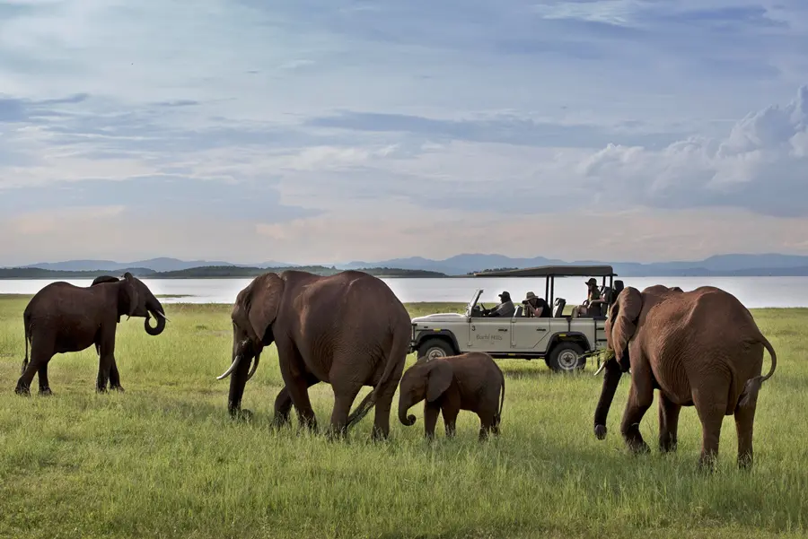 Safari en coche con el Bumi Hills Safari Lodge en el lago Kariba de Zimbabue | Go2Africa