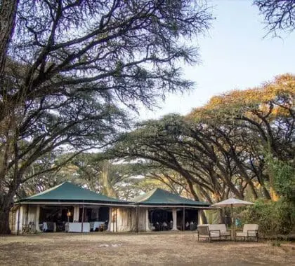 La tienda principal del Sanctuary Ngorongoro Crater Camp consta de una cómoda zona de comedor y de estar.