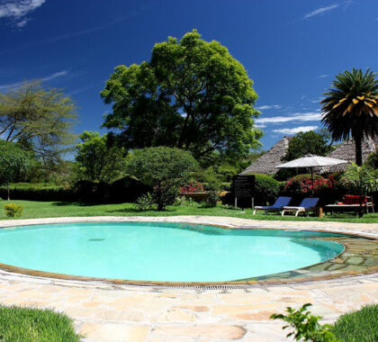 Large swimming pool at the Flamingo Hill Tented Camp.