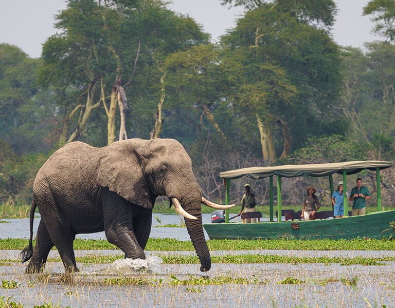 A unique way to see Africa's wildlife. 