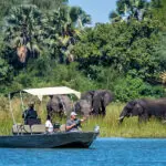 Spot elephants up close on the river banks | Kuthengo Camp