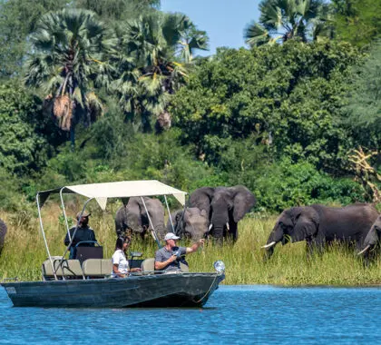 A close-up view of elephants from a boat safari with Kuthengo Camp | Go2Africa