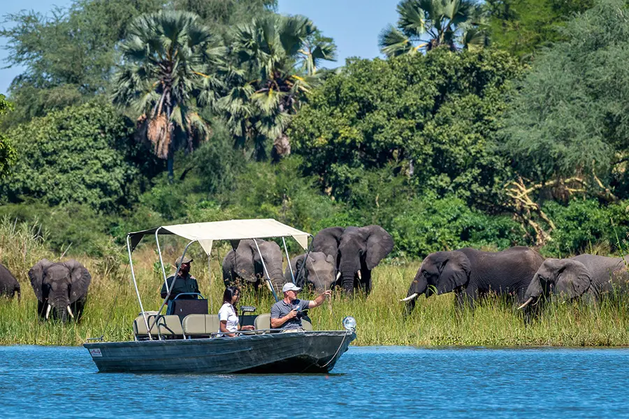 A close-up view of elephants from a boat safari with Kuthengo Camp | Go2Africa