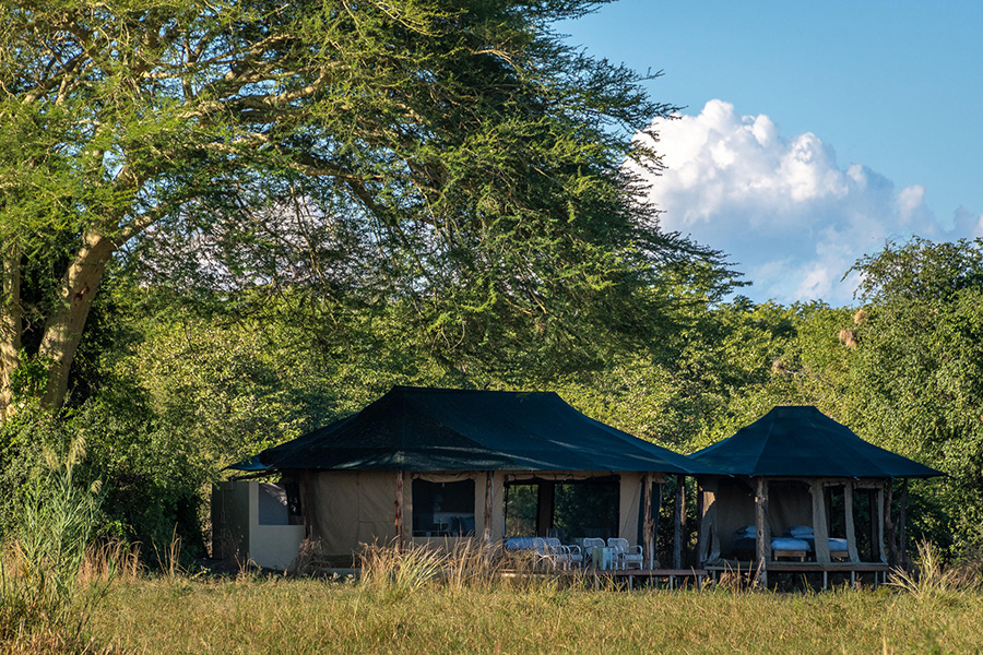 Kuthengo-Camp---family-tent-exterior-2