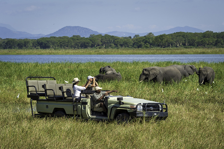 The area offers amazing scenery and is home to elephants, buffalo and endangered black rhino's.