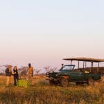 Disfrute de un atardecer tras un emocionante safari. 