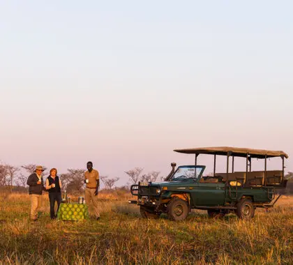 Disfrute de un atardecer tras un emocionante safari. 