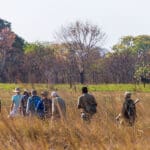 Explore la reserva a pie, al cuidado de guías expertos. 