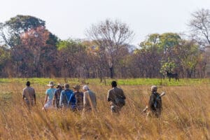 Explore la reserva a pie, al cuidado de guías expertos. 