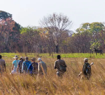 Explore la reserva a pie, al cuidado de guías expertos. 