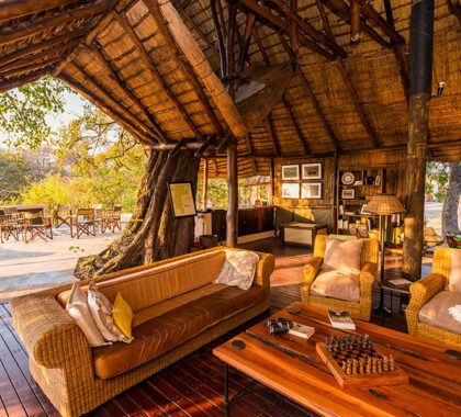 Disconnect from the modern world and relax in safari luxury. 