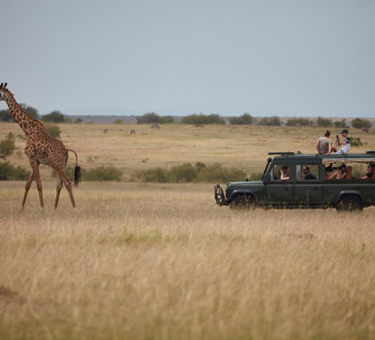 Speke Camp offers incredible game drives.