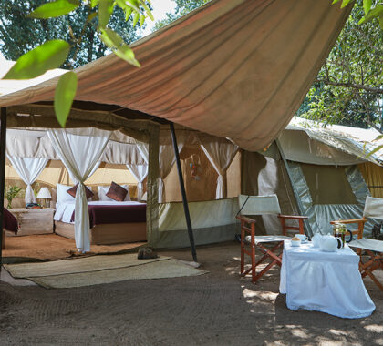 Luxury tent at Speke Camp.