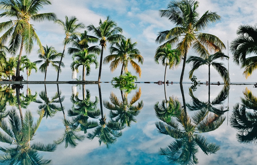 Beach resort in Mauritius | Go2Africa