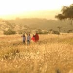 Enjoy guided walking safaris on the Lewa Wildlife Conservancy.