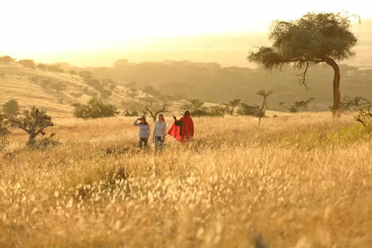 Disfrute de safaris a pie guiados por la Lewa Wildlife Conservancy.