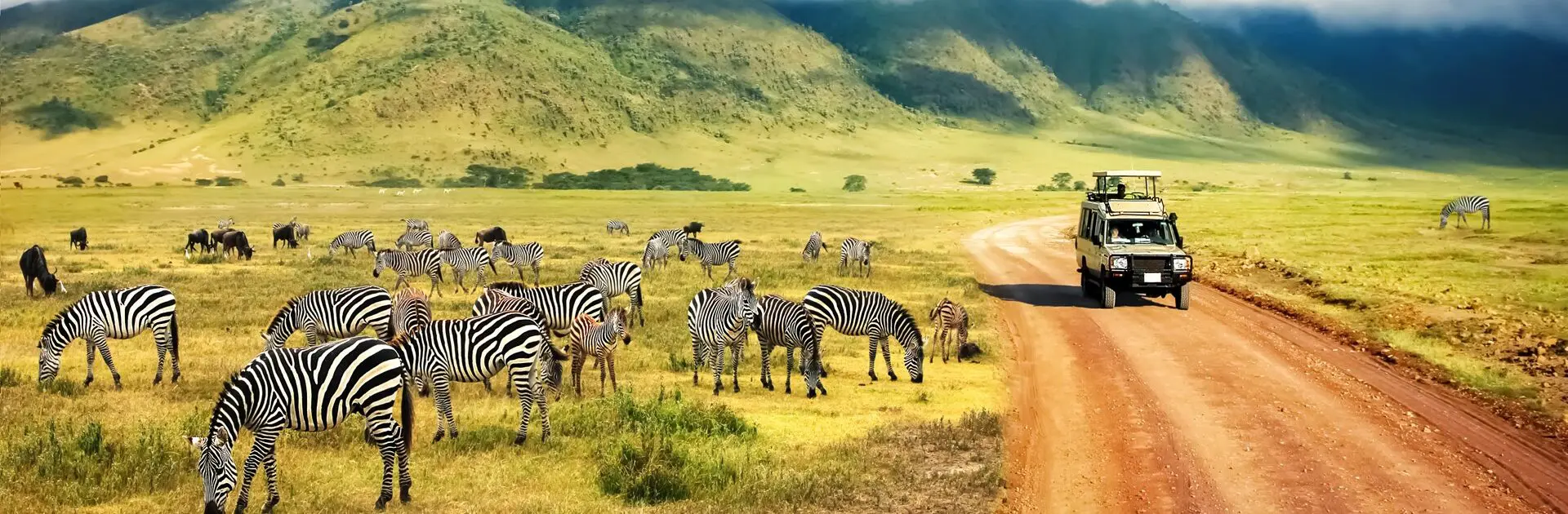 Safari en el cráter del Ngorongoro (Tanzania) | Go2Africa