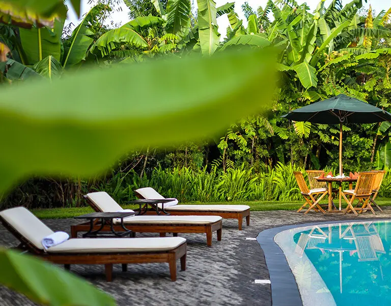 Sink into the cushioned pool loungers for an afternoon at the pool with a good book.