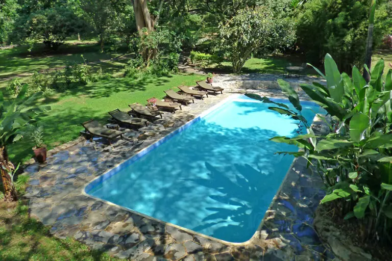 The swimming pool at Rivertrees.