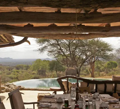 sarara-camp-sarara-casa-comedor