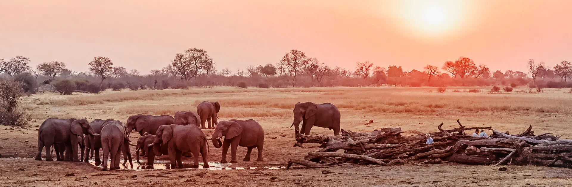 Una manada de elefantes rodea un pequeño abrevadero al atardecer | Go2Africa