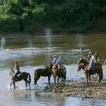 Set off on your first sunset ride.