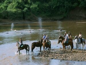 Set off on your first sunset ride.