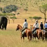 Spot members of the Big5 on your riding safari.