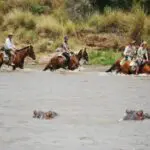 Ride through rivers under the watchful eye of curious hippos.