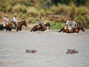 Ride through rivers under the watchful eye of curious hippos.