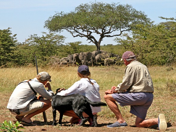 Wonder at the awe-inspiring views over the Masai Mara’s landscape. 