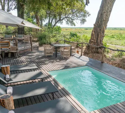La piscina de Linyanti Ebony.