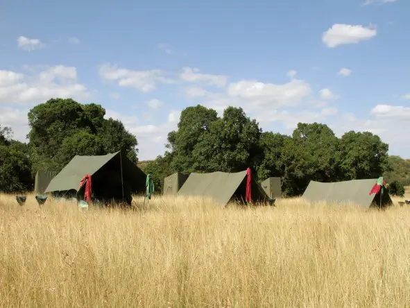 Arrive at camp Olare Orok just in time for afternoon tea.