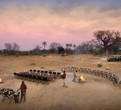 Alfresco dining at Sandibe Okavango Safari Lodge, Botswana.
